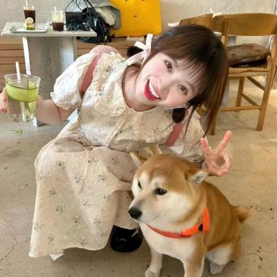 风流女神探